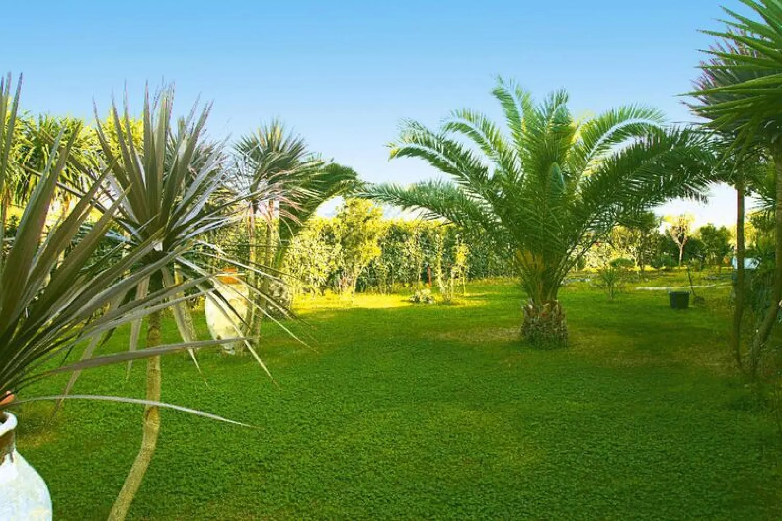 Holiday home Castiglione di Sicilia-Villa Jelú ex Villa Maria-Tuinen zomer