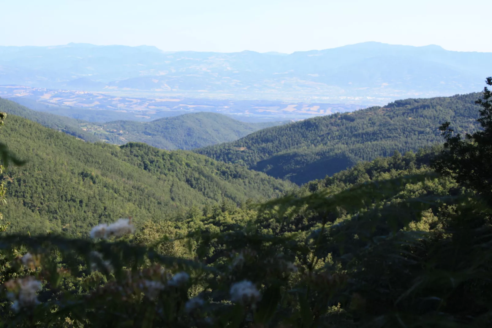 La Pergola-Gebieden zomer 1km