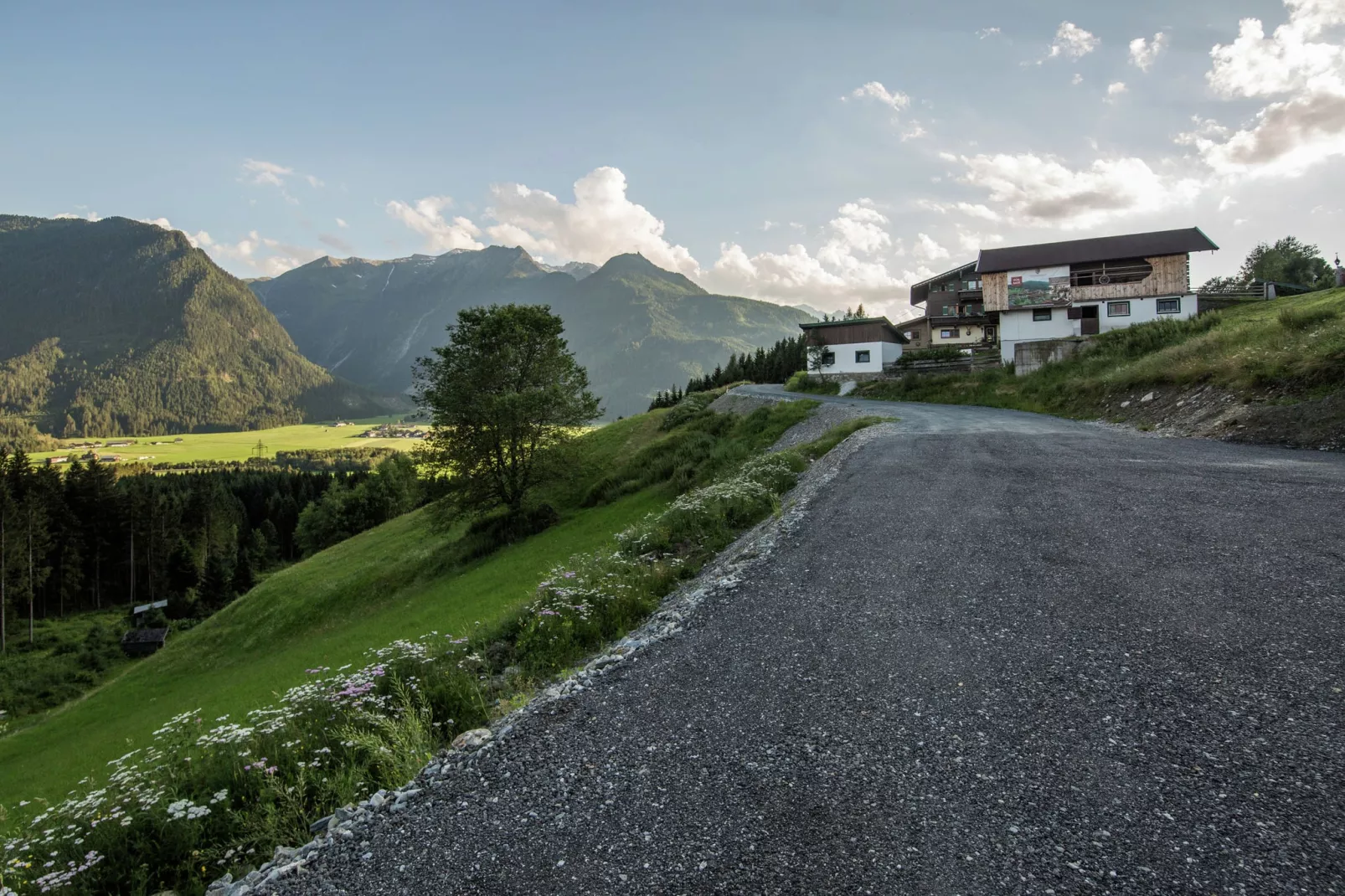 Rossberg Hohe Tauern Chalets -6-Gebieden zomer 1km