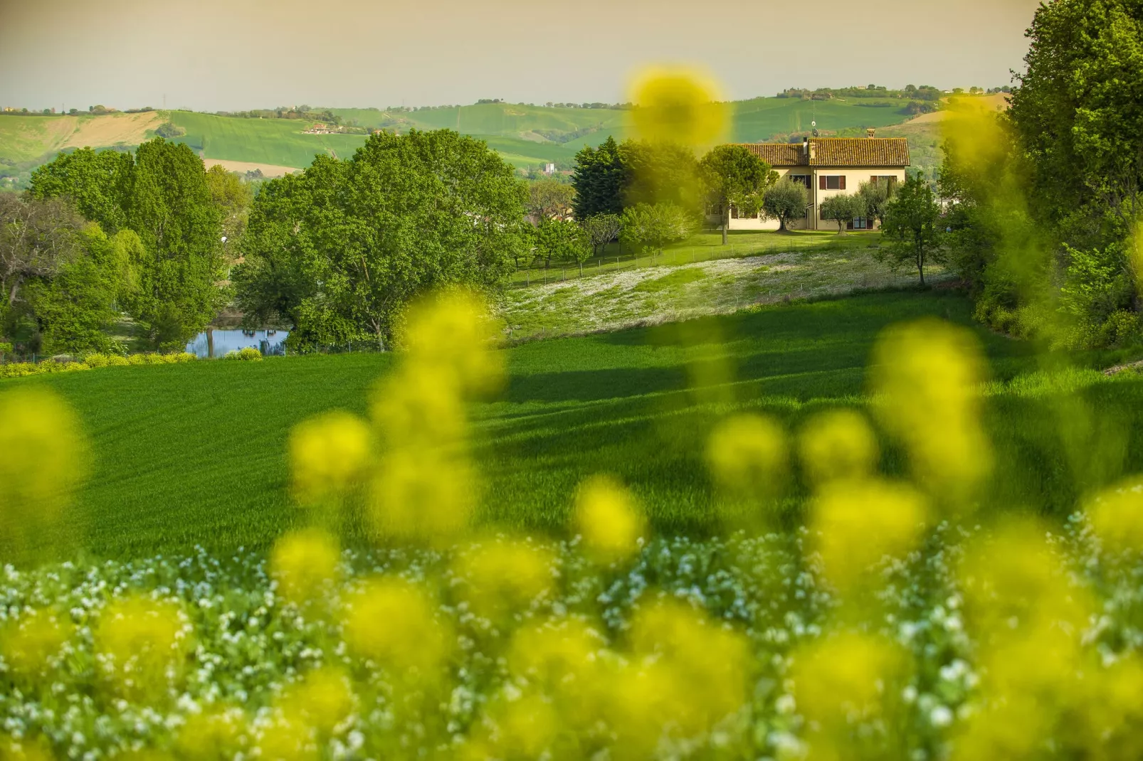 La Cantinaia Cova-Sfeer