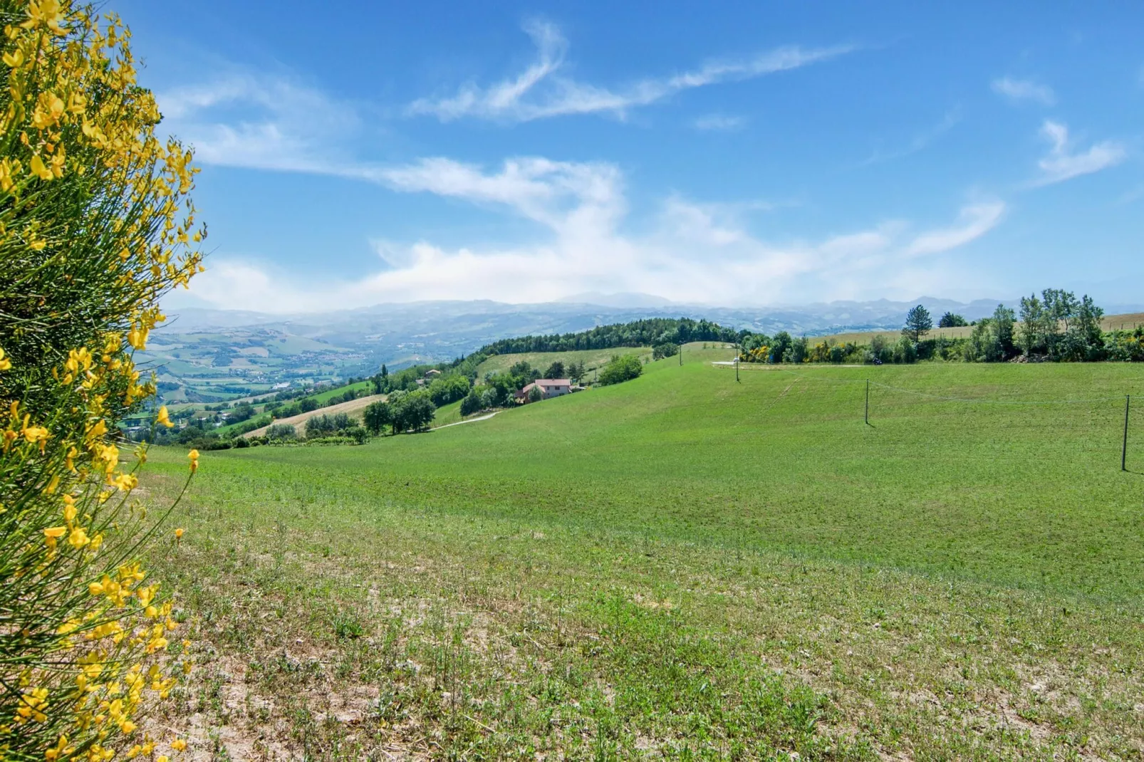 Casale Verbena