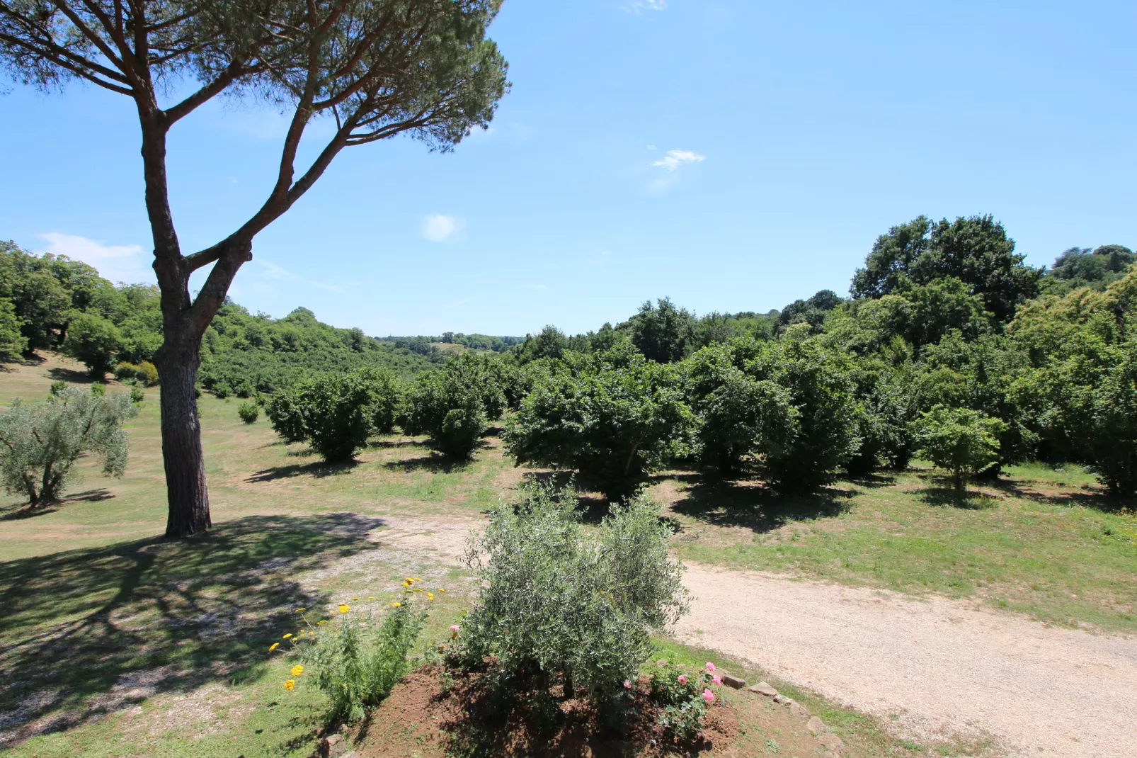 Villa Flavia-Uitzicht zomer