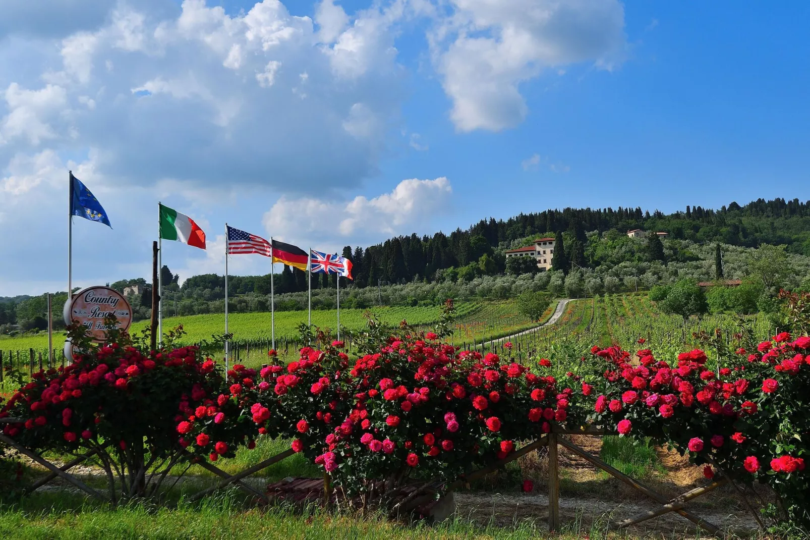 Villa Il Frassine-Uitzicht zomer