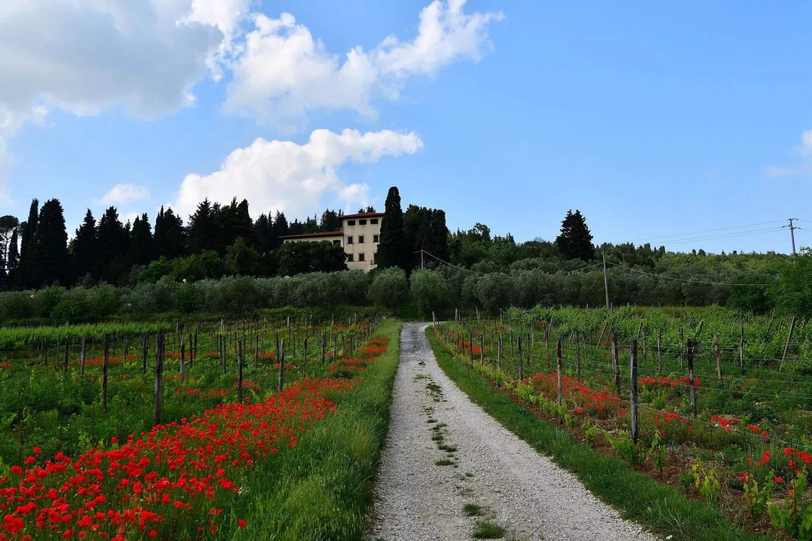 Villa Il Frassine-Uitzicht zomer