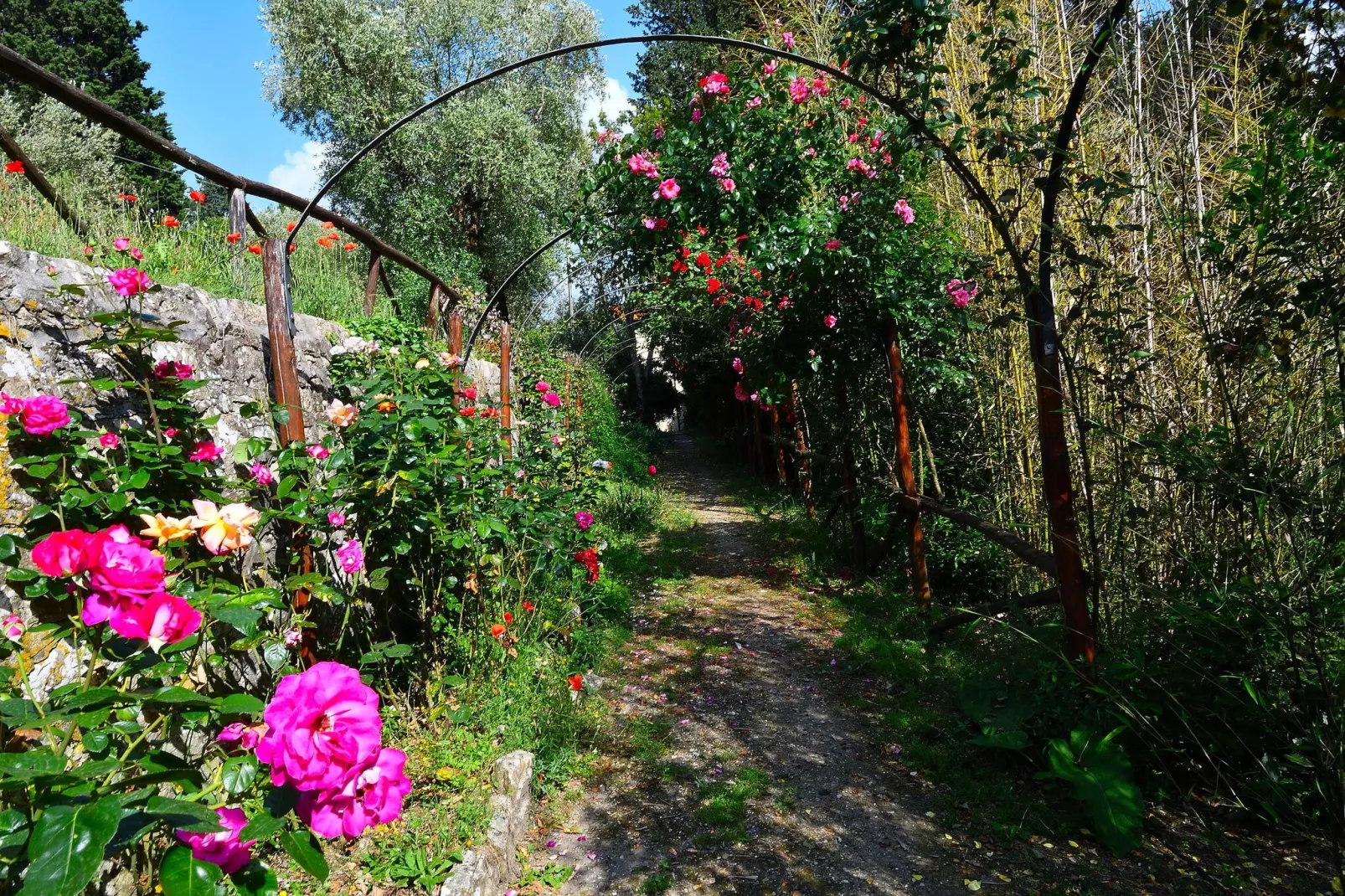 Villa Il Frassine-Tuinen zomer