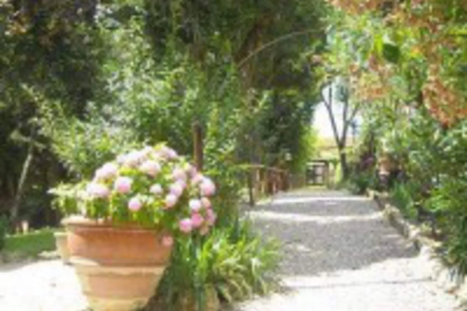 Villa Il Frassine-Tuinen zomer