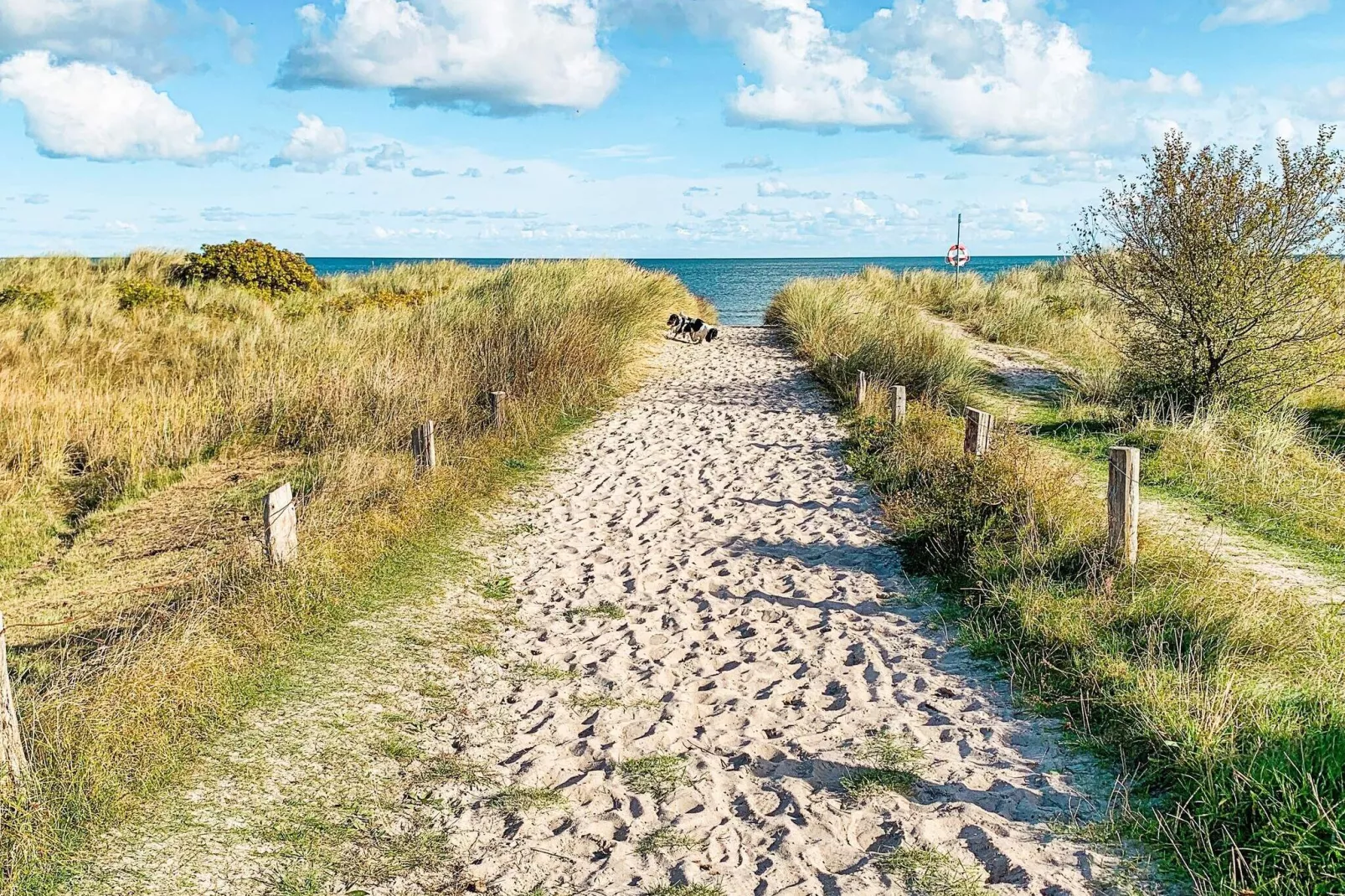8 persoons vakantie huis in Gedser-By Traum-Niet-getagd