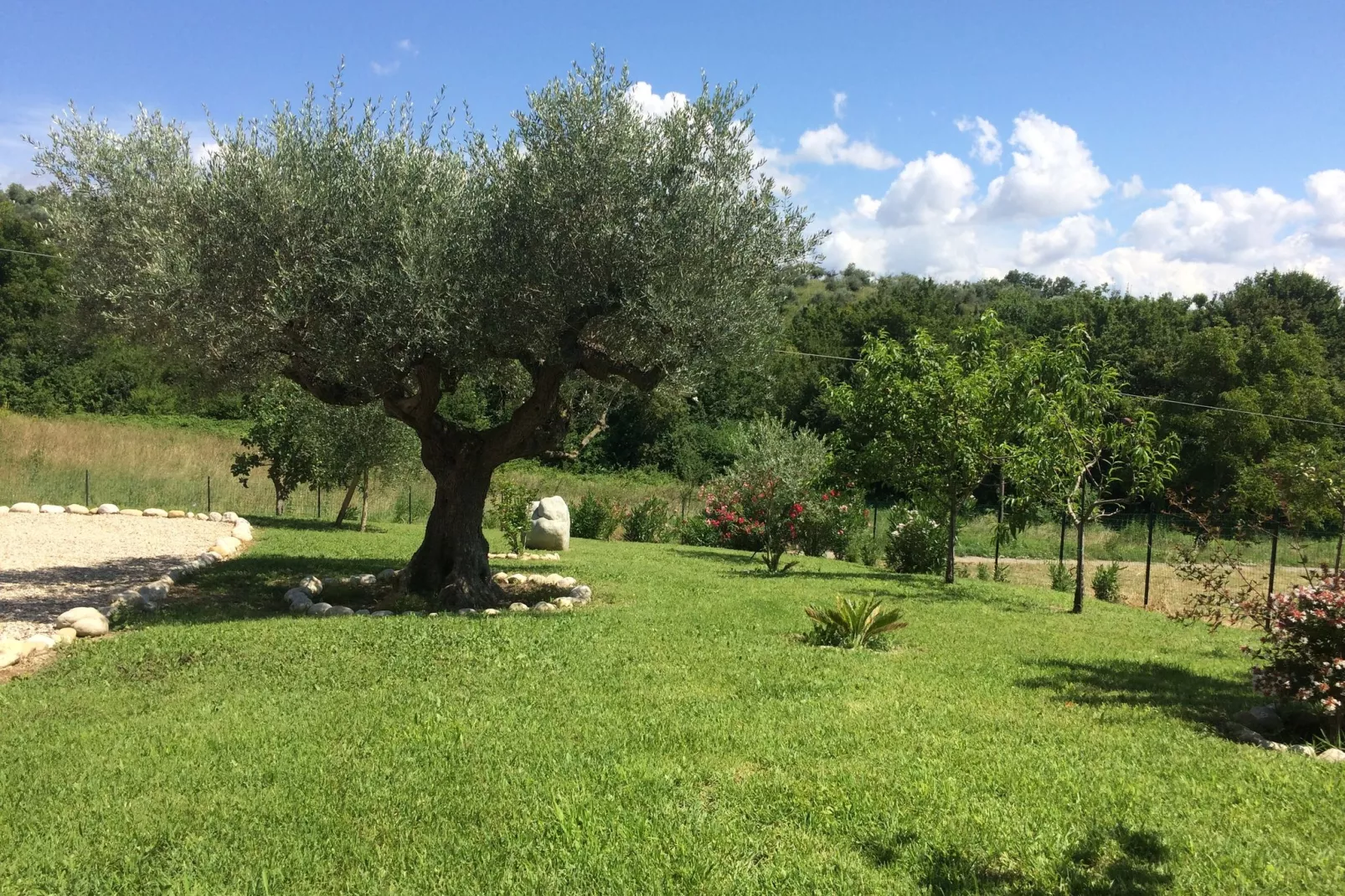 Casa Picciano-Tuinen zomer