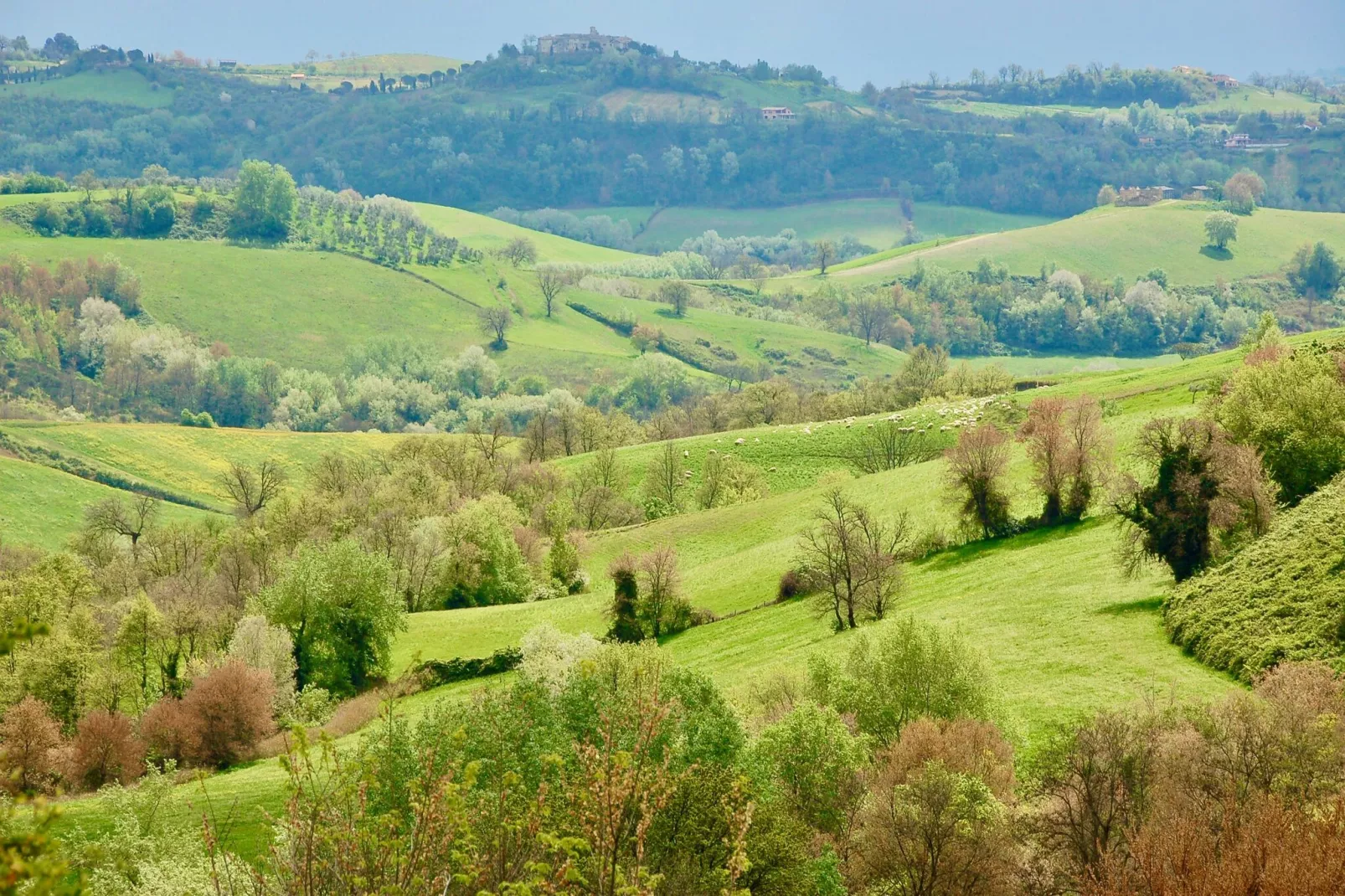 Villa Laurentia-Gebieden zomer 5km