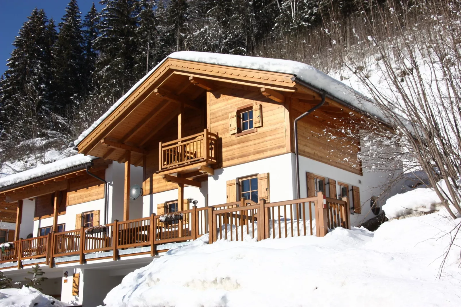 Chalets im Wald-Exterieur winter