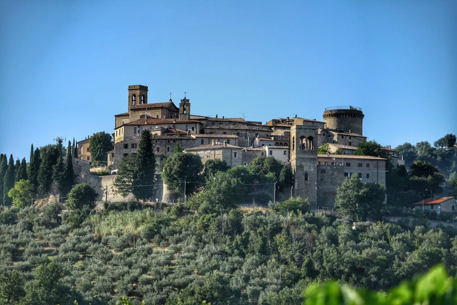 Torre Belvedere-Gebieden zomer 5km