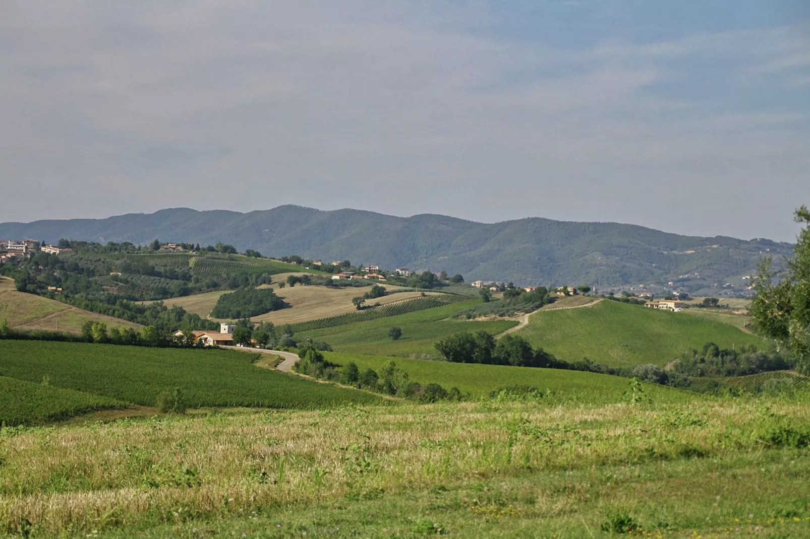 Villa Torri-Gebieden zomer 5km