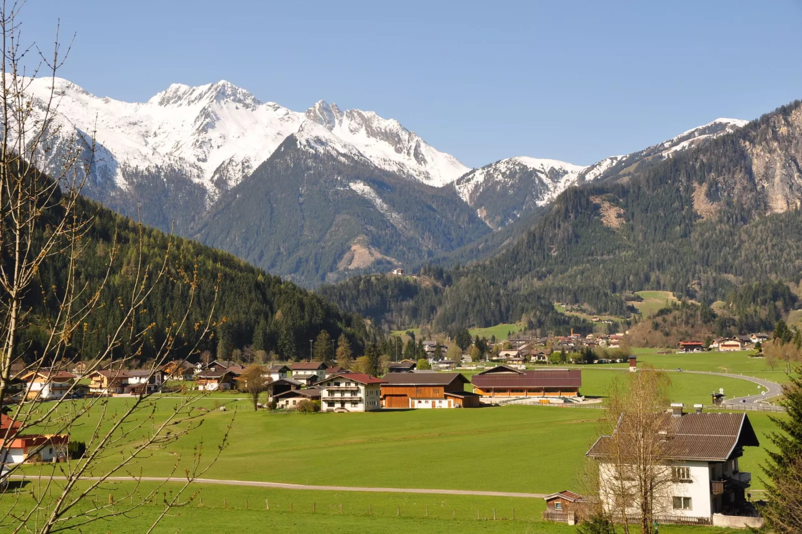 Chalets im Wald-Uitzicht zomer