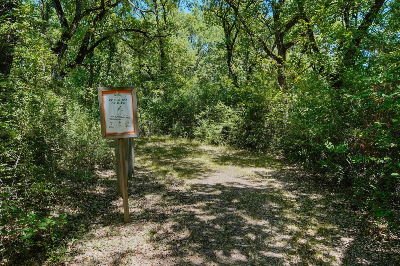 Appartamento la Tartaruga-Gebieden zomer 1km