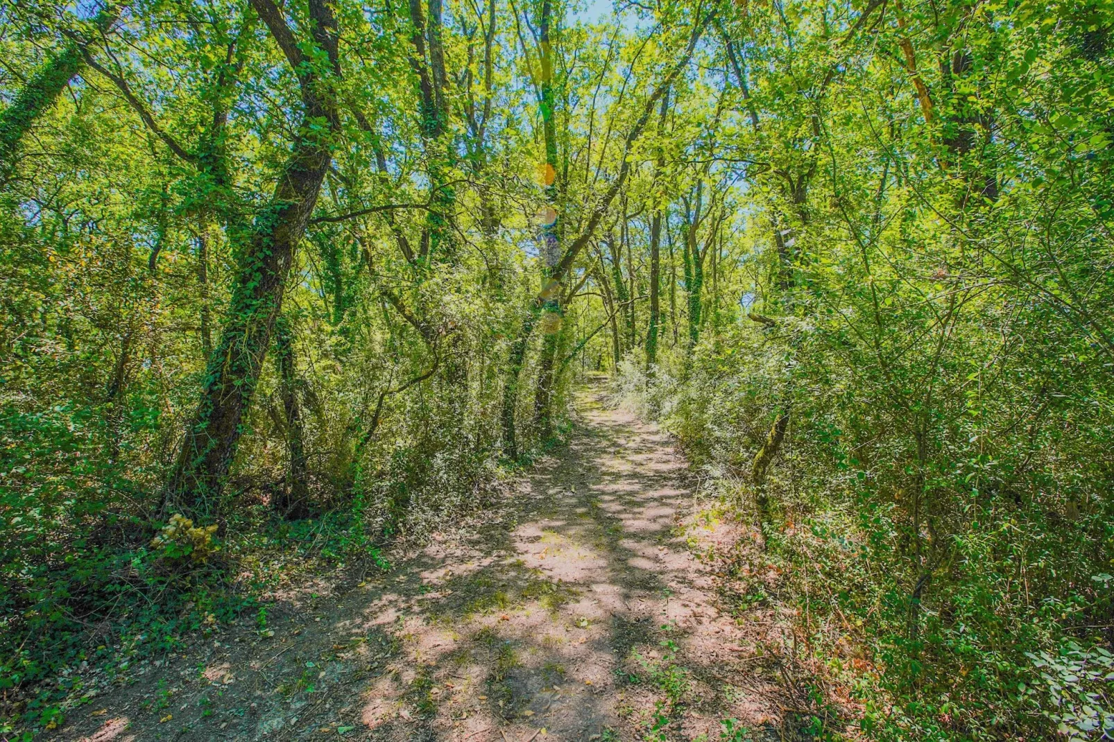 Appartamento la Tartaruga-Gebieden zomer 1km