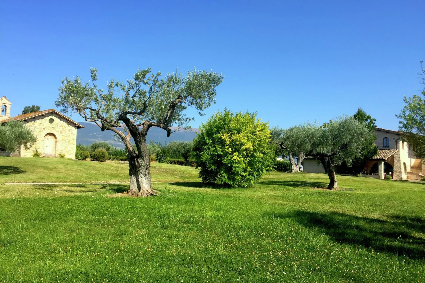 Villa Angeli-Buitenkant zomer