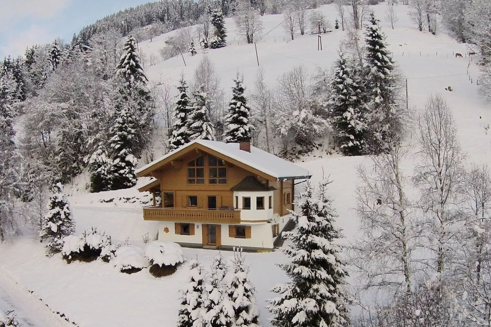 Chalet Huski Viehhofen-Exterieur winter