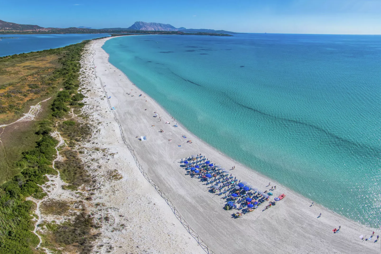 Gallura Trilo-Gebieden zomer 1km