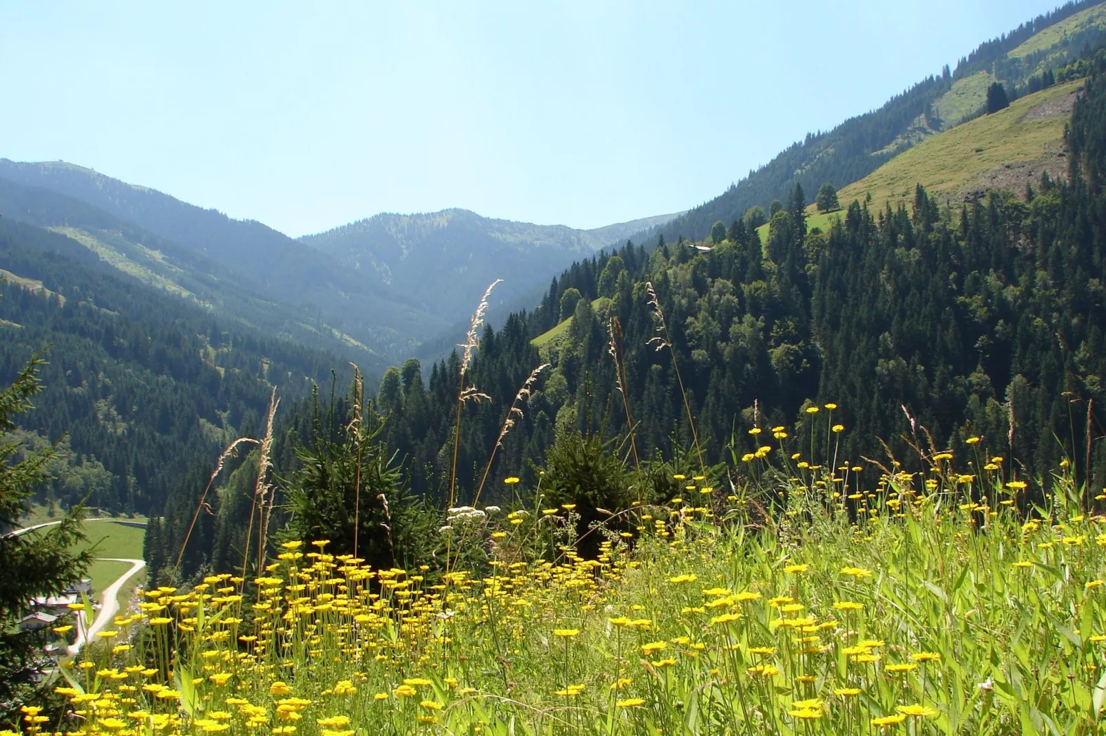 Chalet Huski Viehhofen-Uitzicht zomer