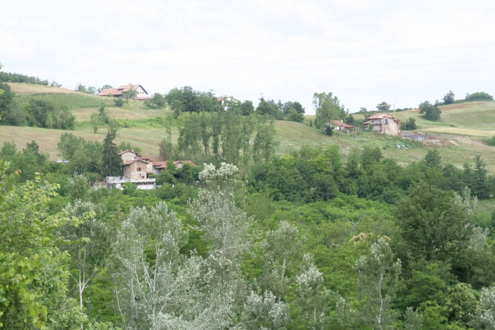 Carrù-Gebieden zomer 1km