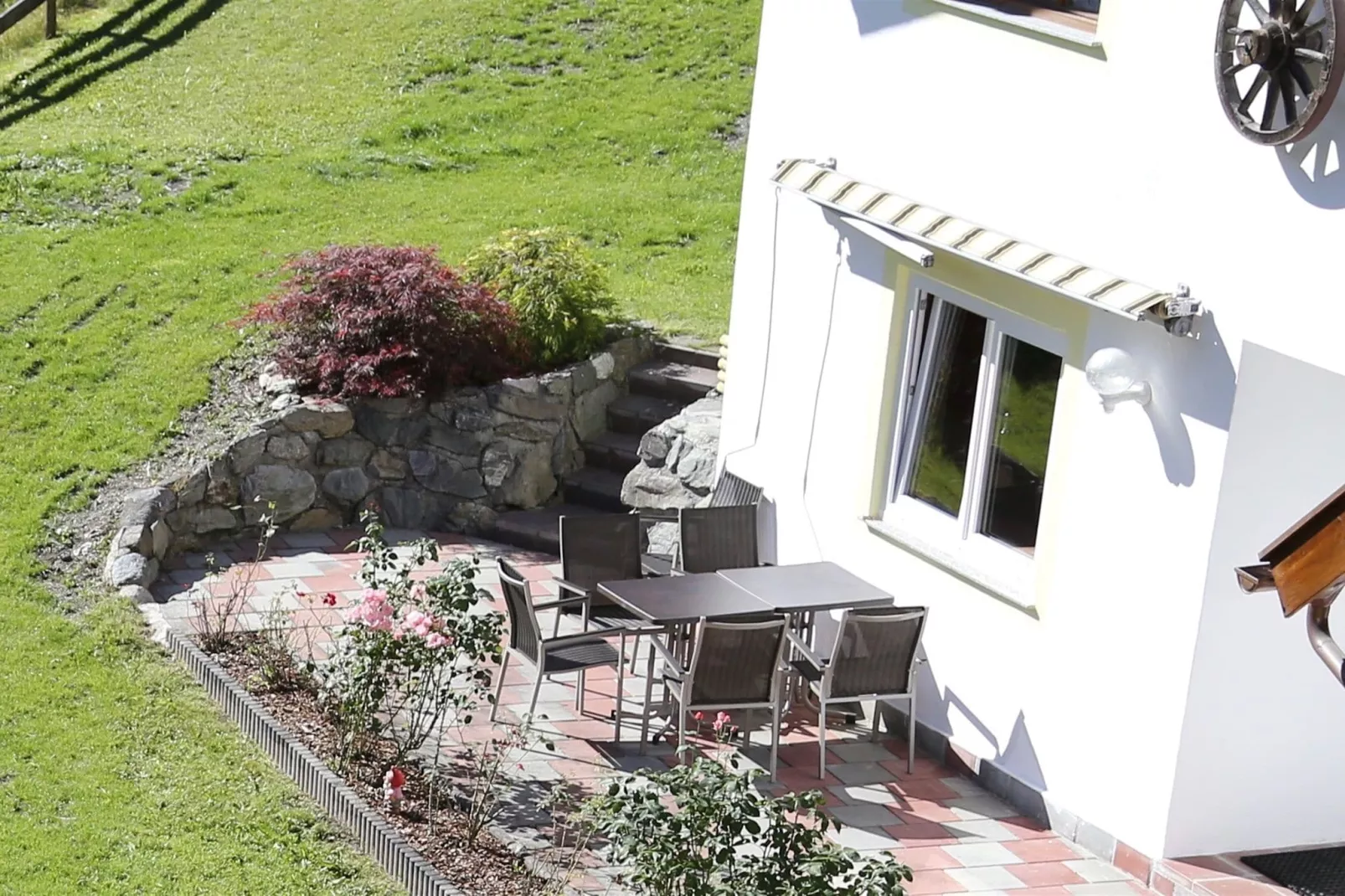 Alpensteinbock Saalbach-Terrasbalkon