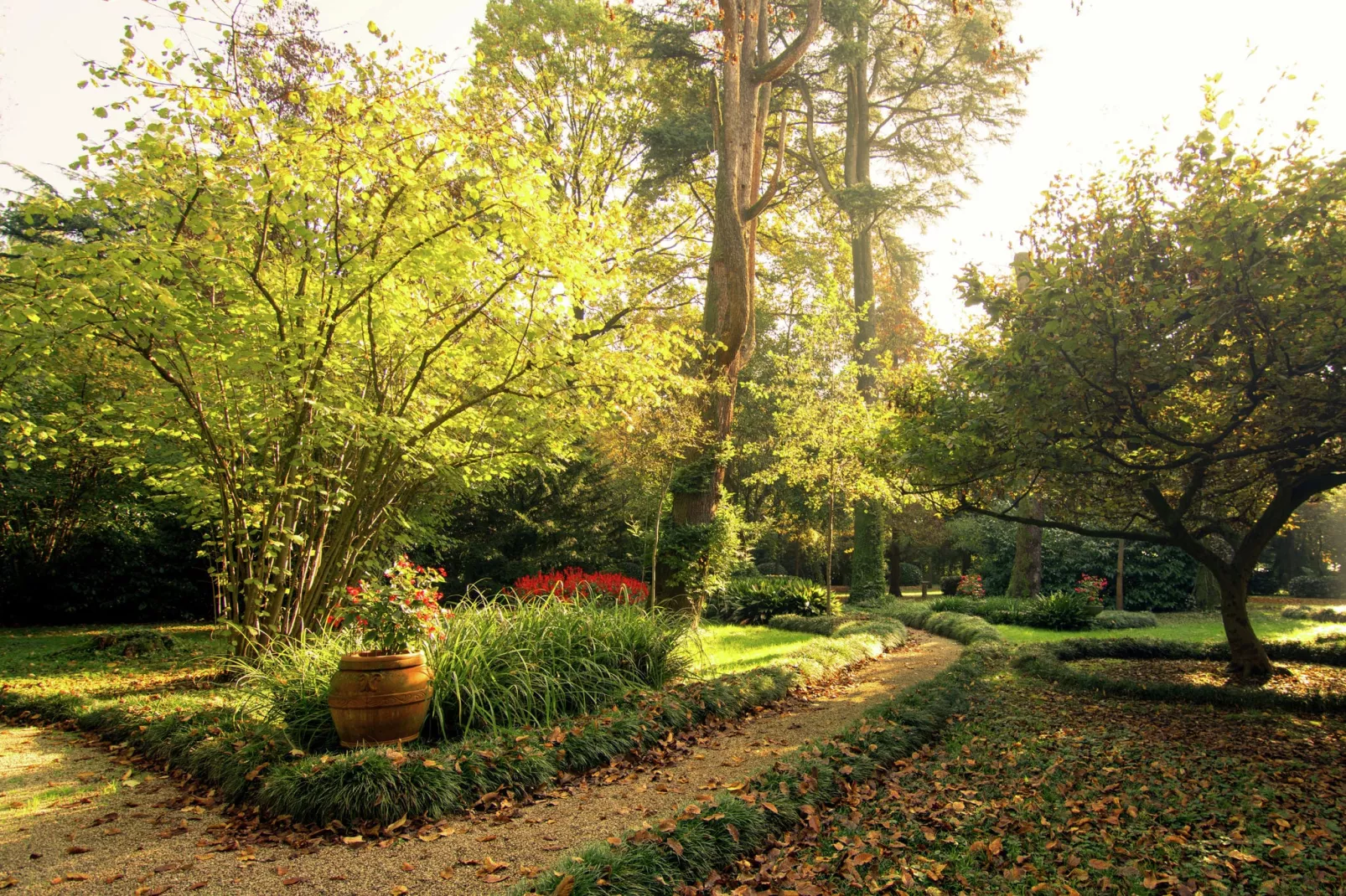 Villa Veneta Padova Due-Tuinen zomer