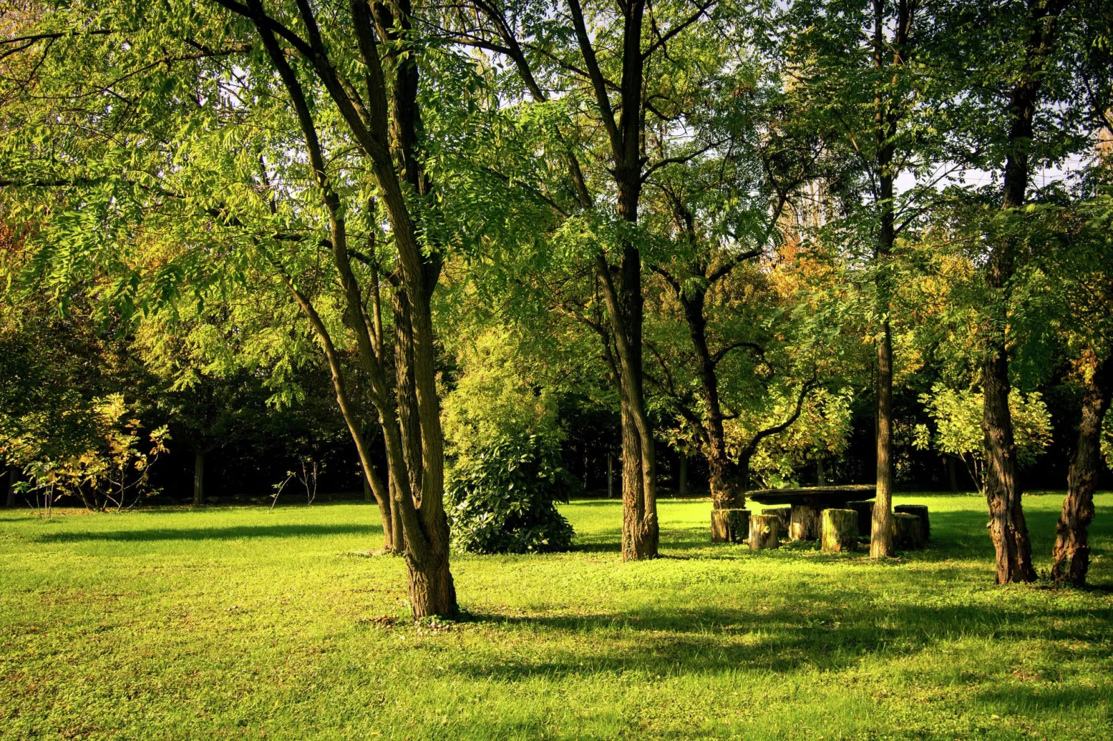 Villa Veneta Padova Due-Tuinen zomer