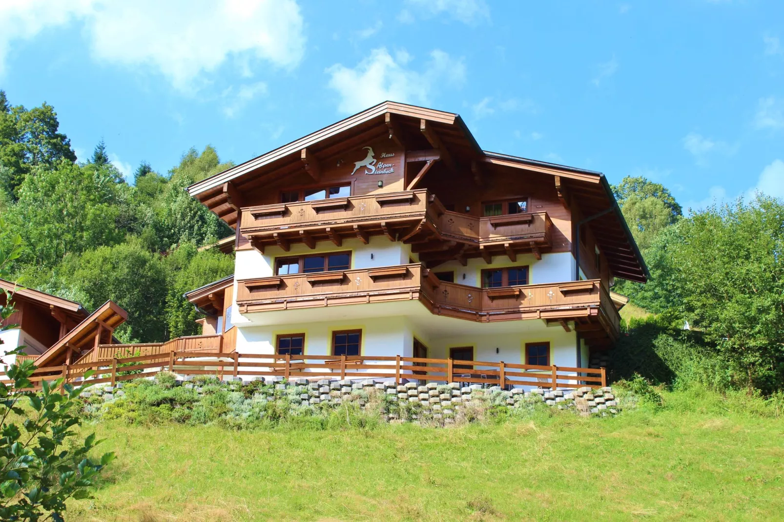 Alpensteinbock Saalbach C-Buitenkant zomer