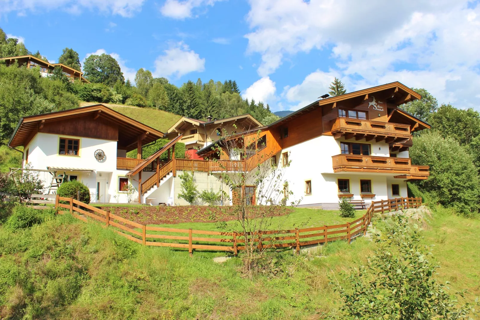Alpensteinbock Saalbach C-Buitenkant zomer