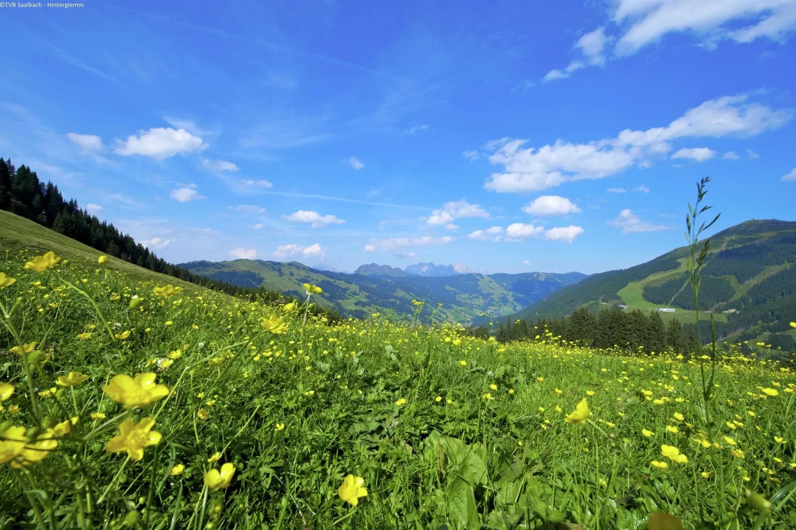 Luxe chalet in Saalbach-Hinterglemm nabij skigebied-Gebieden zomer 5km