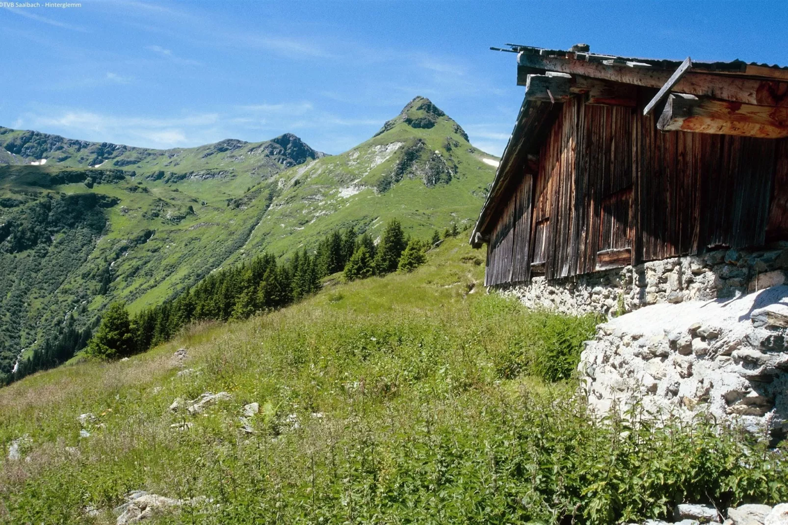 Luxe chalet in Saalbach-Hinterglemm nabij skigebied-Gebieden zomer 5km