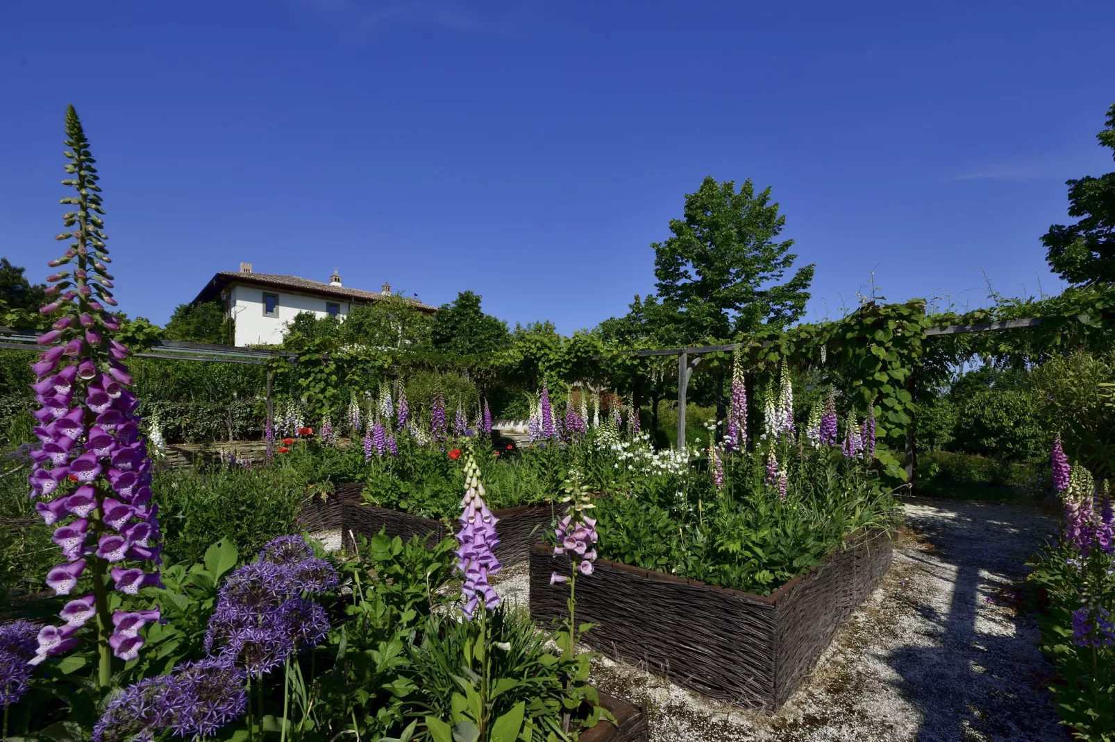 Villa Amagioia Residenza alberghiera-Tuinen zomer