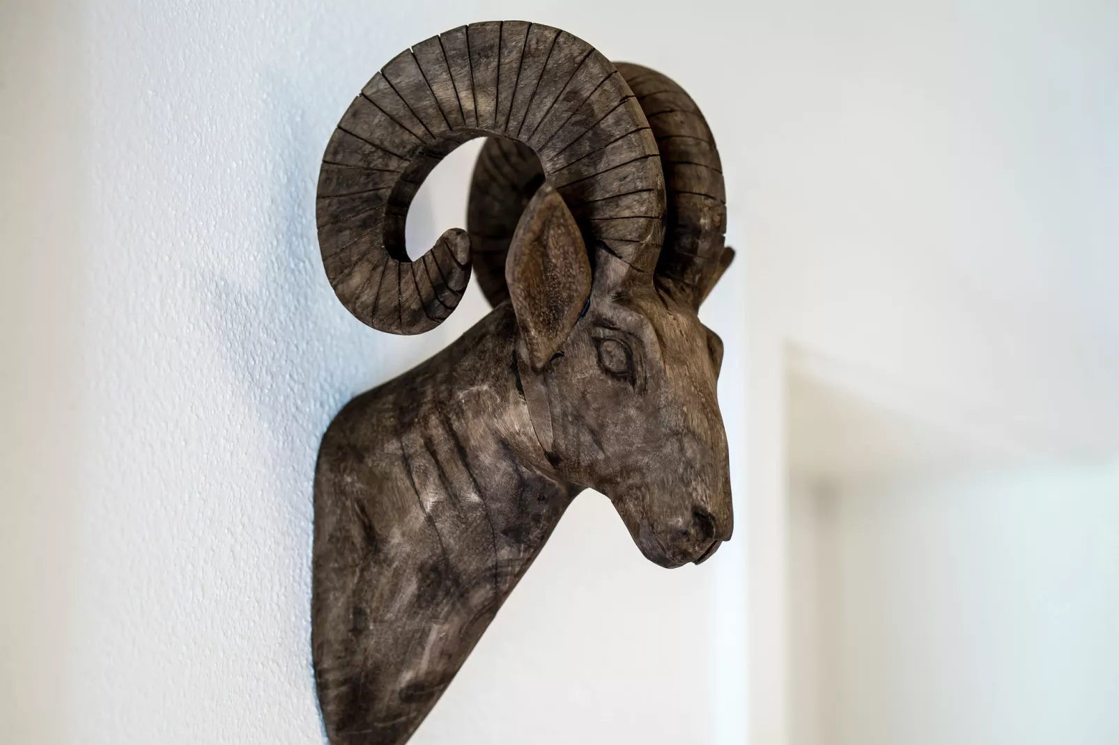 Alpensteinbock Saalbach L-Sfeer