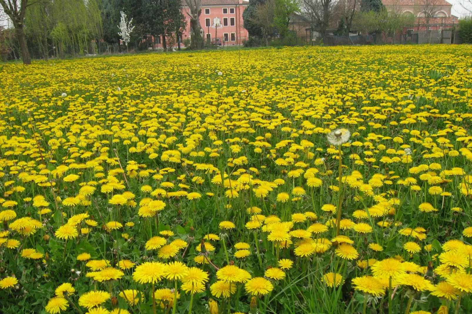 Villa Romana Uno-Buitenkant zomer