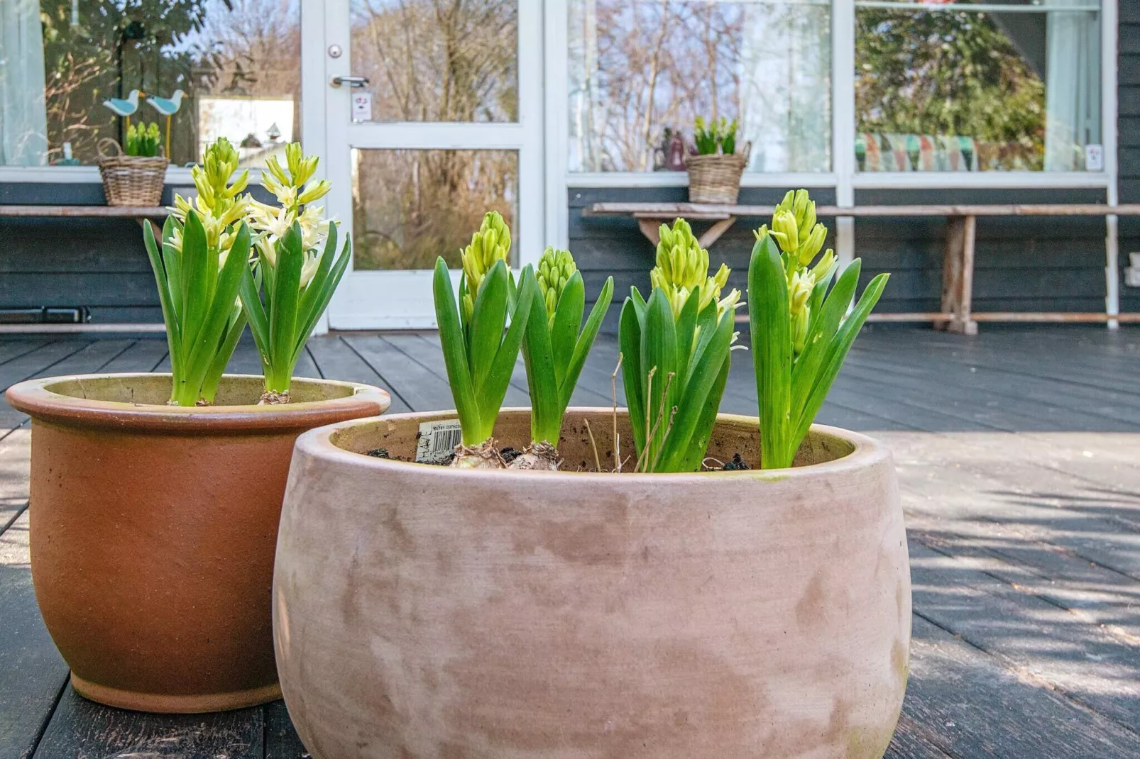 7 persoons vakantie huis in Hejls-Uitzicht