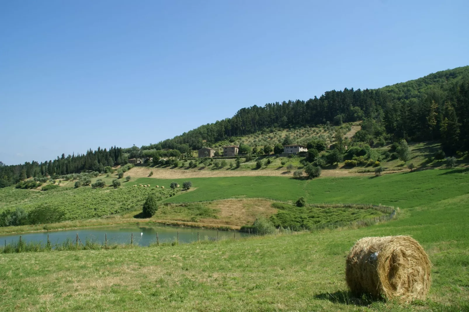 Brunelleschi-Gebieden zomer 1km