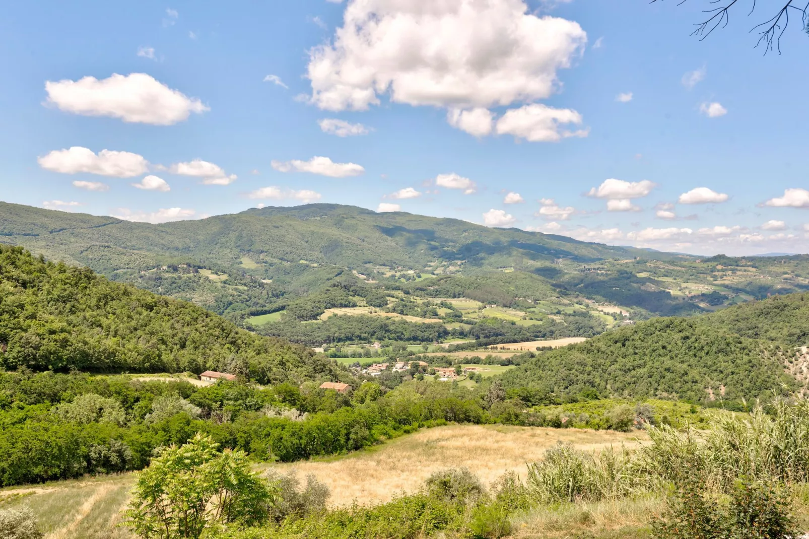 Castagno-Gebieden zomer 1km