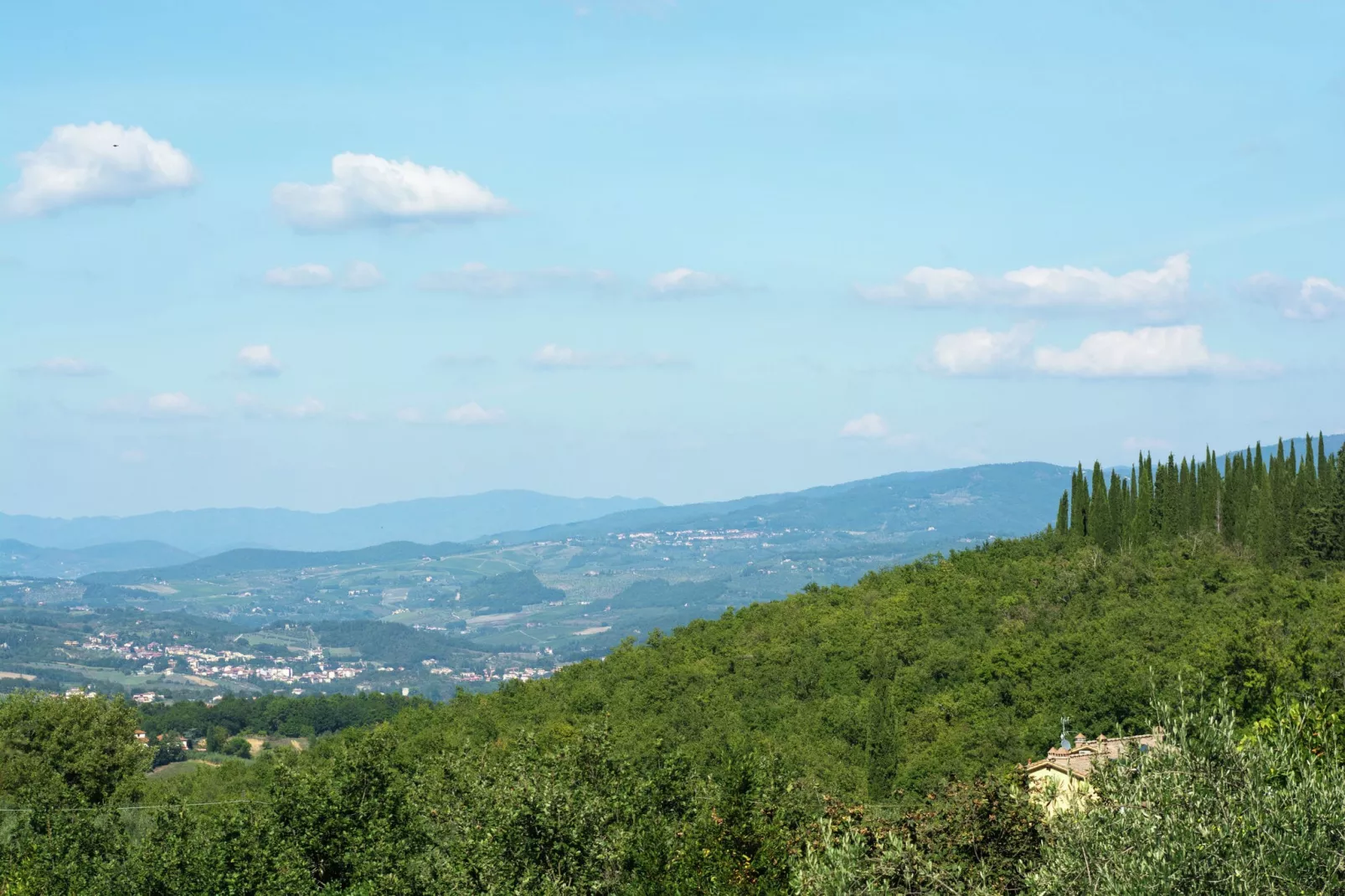 Sangiovese-Gebieden zomer 1km