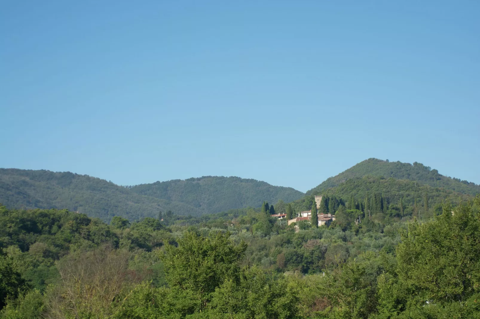 Sangiovese-Gebieden zomer 5km