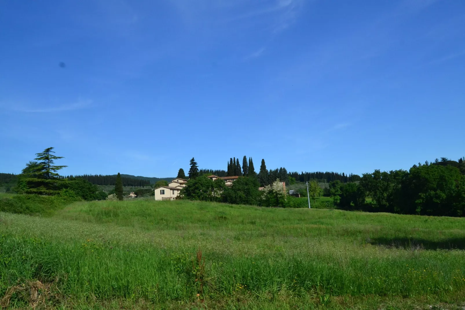 Canaiolo-Tuinen zomer