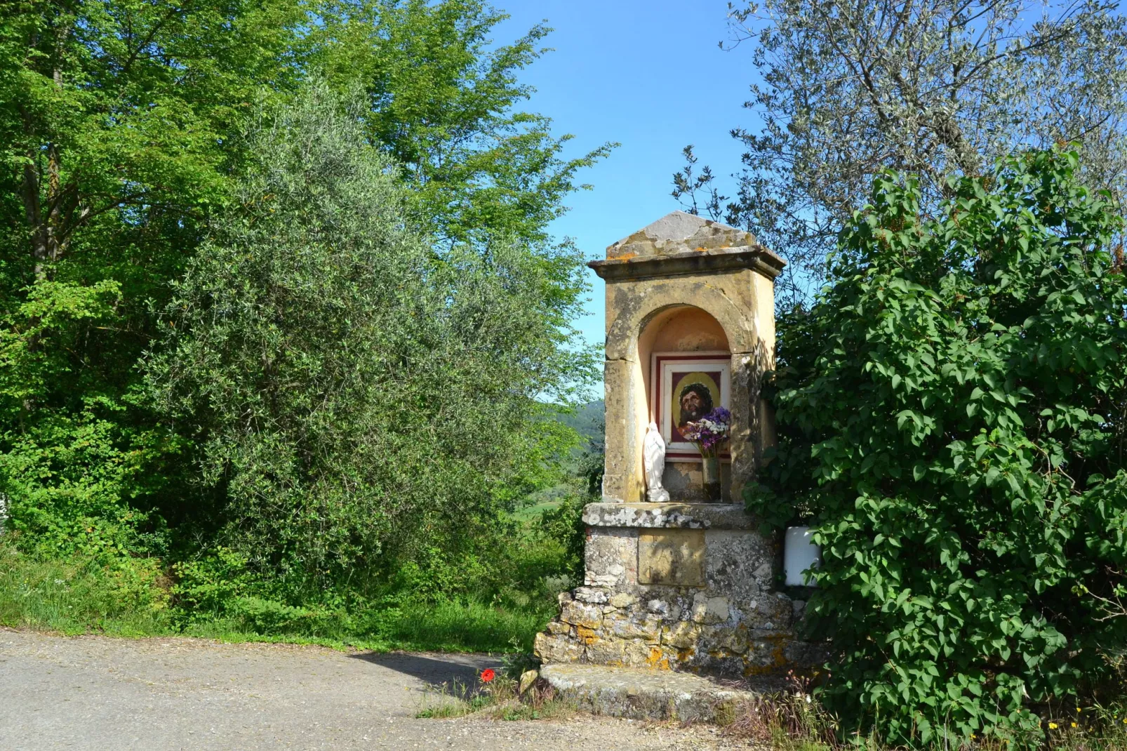 Canaiolo-Gebieden zomer 1km