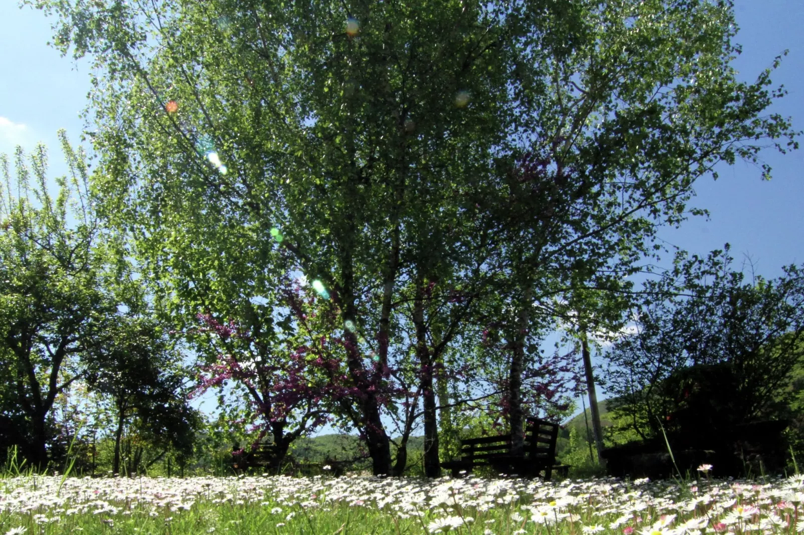 Il Cerro-Gebieden zomer 1km