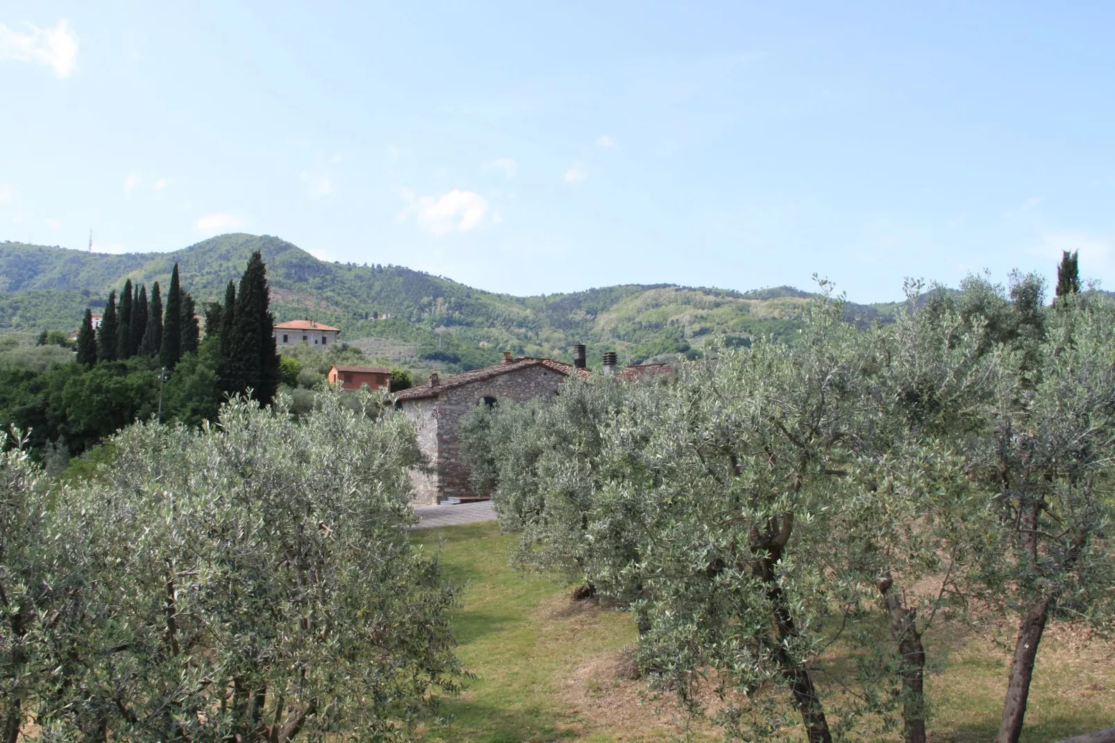 La Casa dei Due Olivi-Tuinen zomer