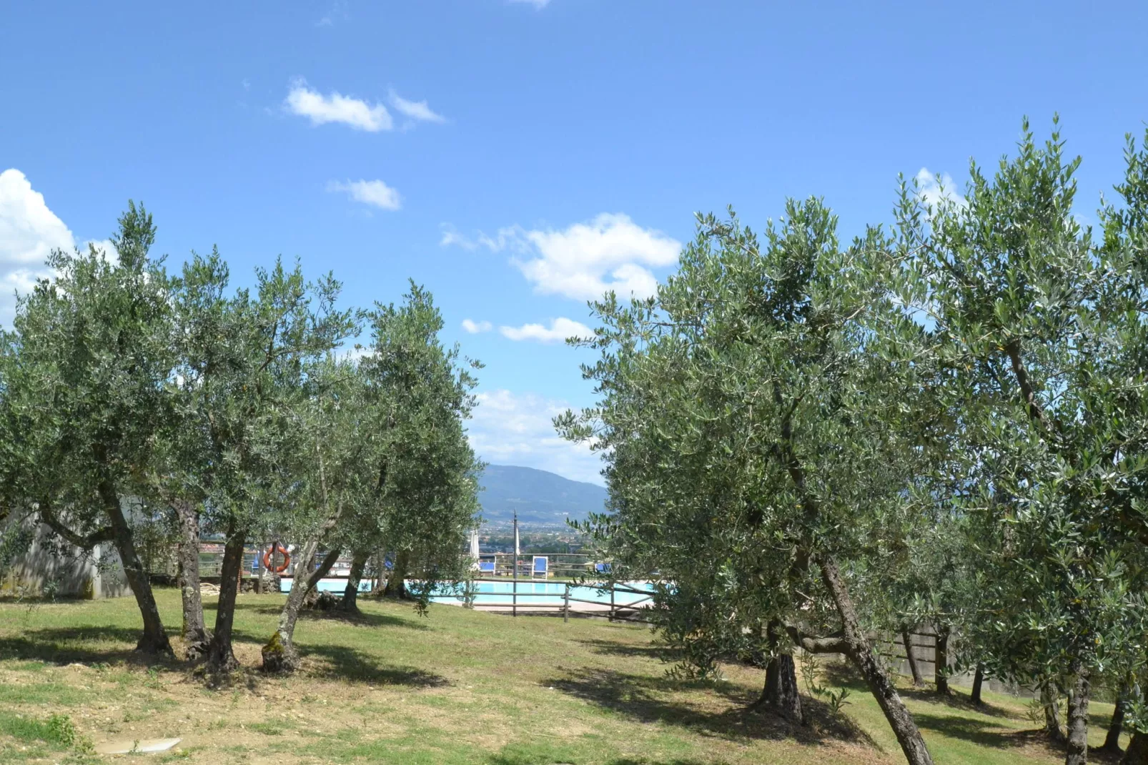 La Casa dei Due Olivi-Tuinen zomer