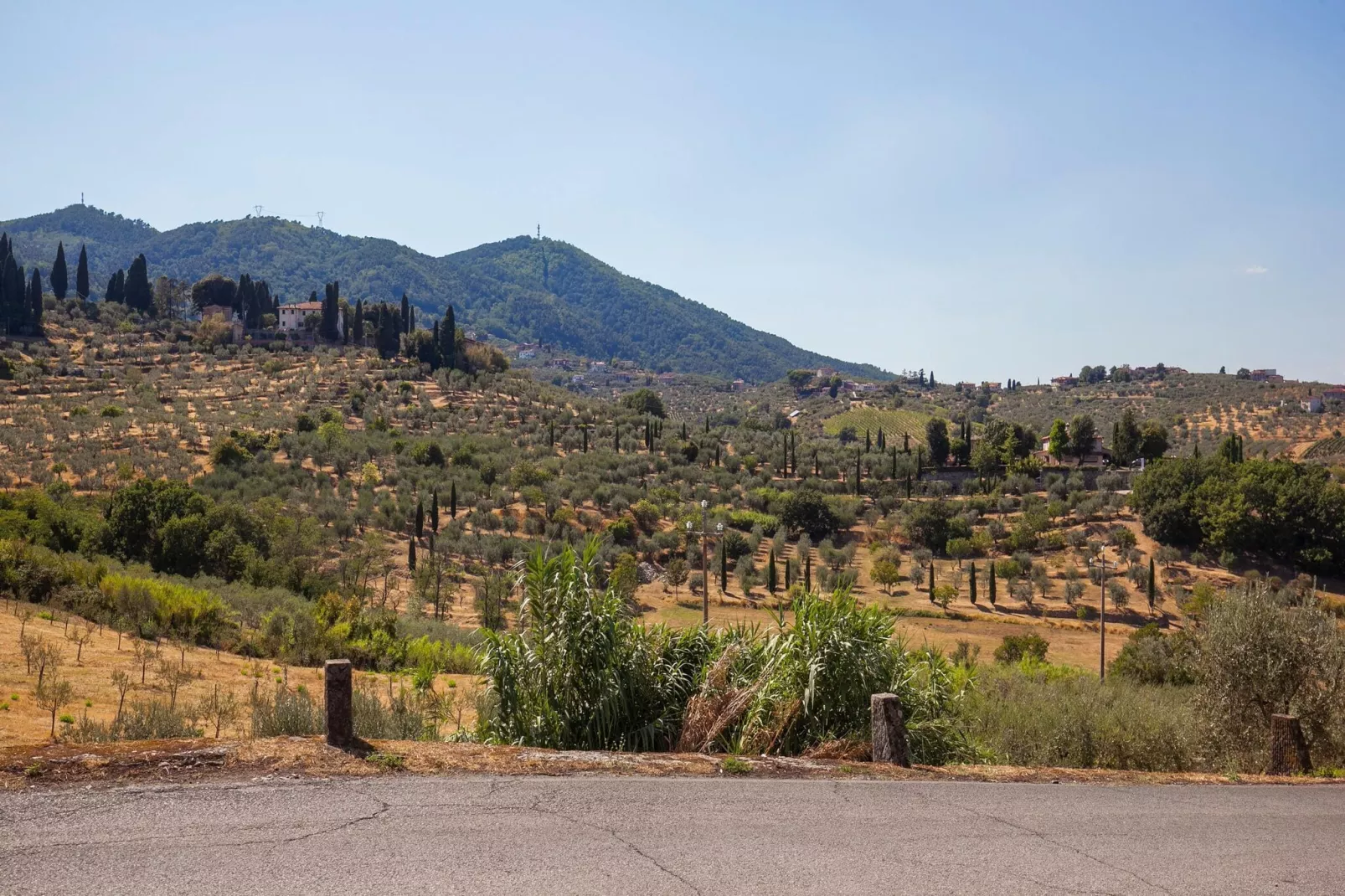 La Casa dei Due Olivi-Gebieden zomer 5km