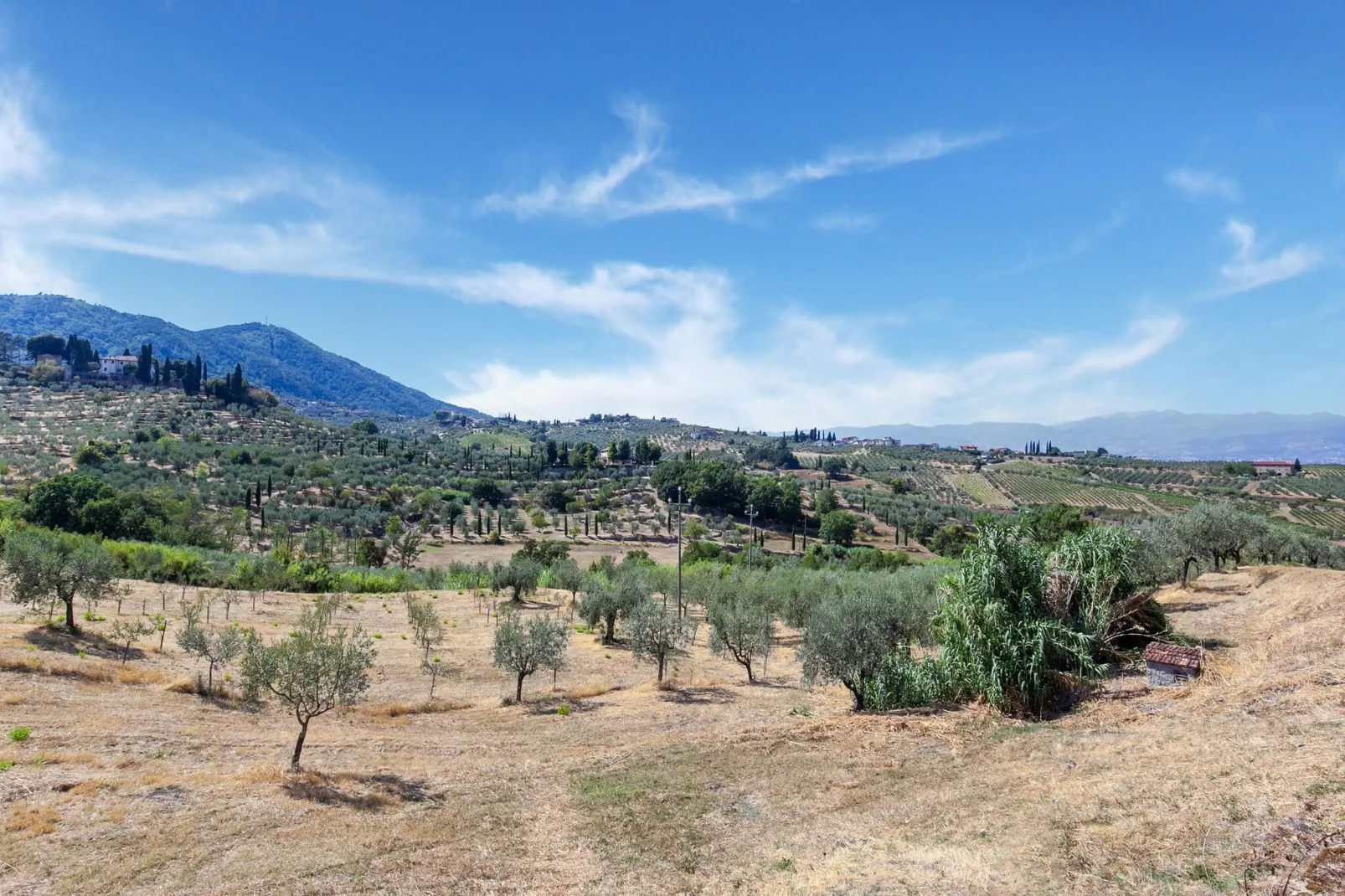 La Casa dei Due Olivi-Gebieden zomer 5km