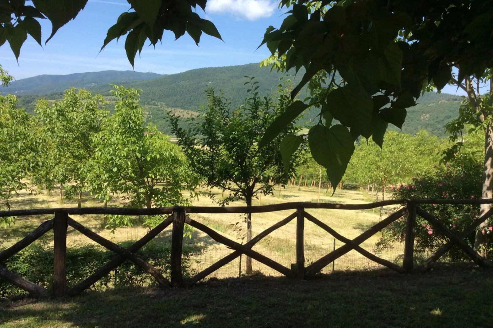 Il Camino-Gebieden zomer 1km