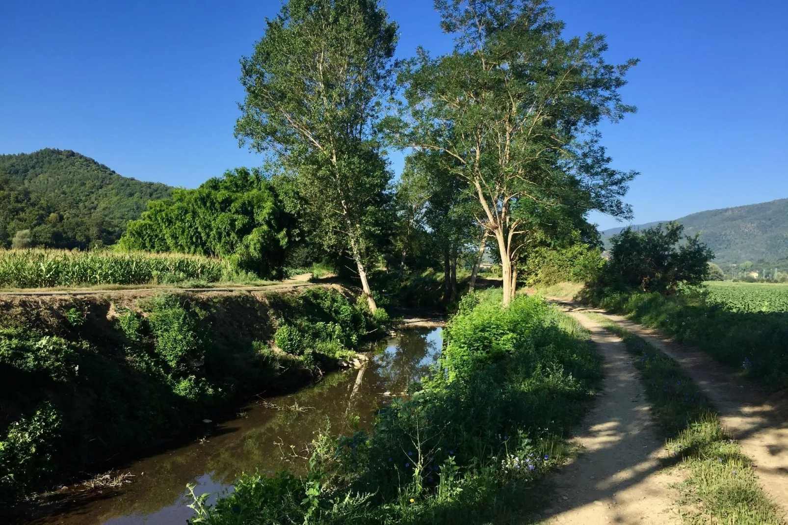 Il Camino-Gebieden zomer 1km