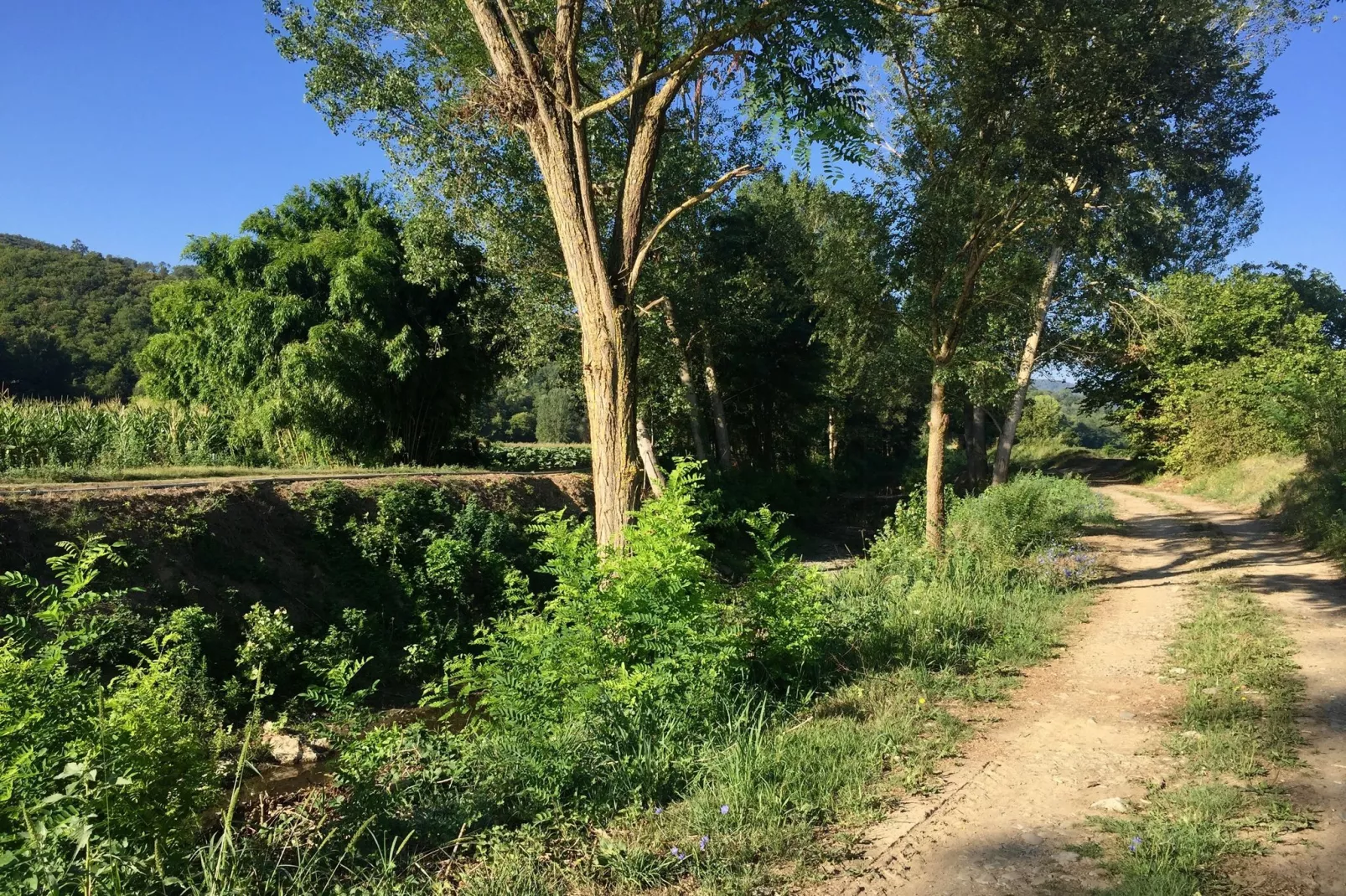 Il Camino-Gebieden zomer 1km