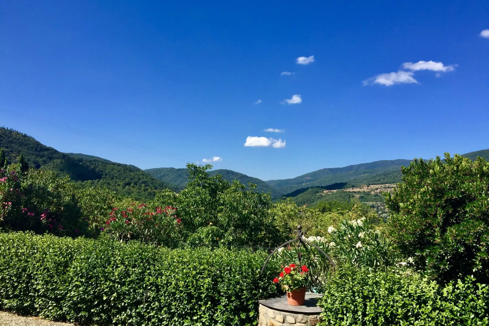 Il Camino-Gebieden zomer 1km